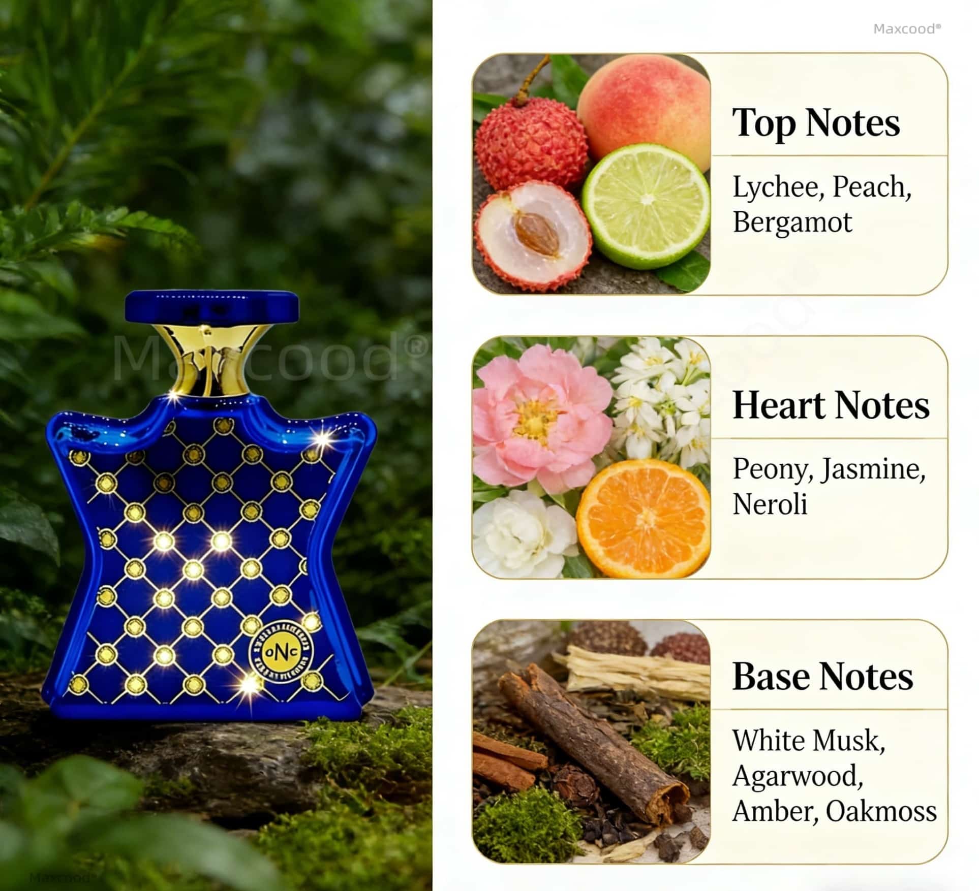Perfume Cítrico y Floral de La - Perfume High Fragrance reseña y precio