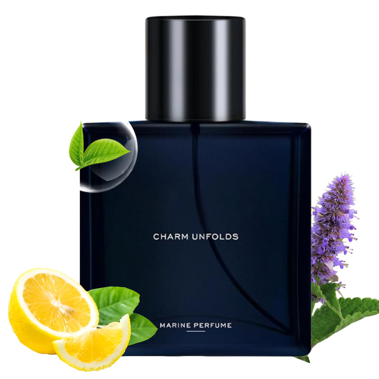 Fragancias para hombre EDT Spr - Perfume Fragrance Hair Spray reseña y precio