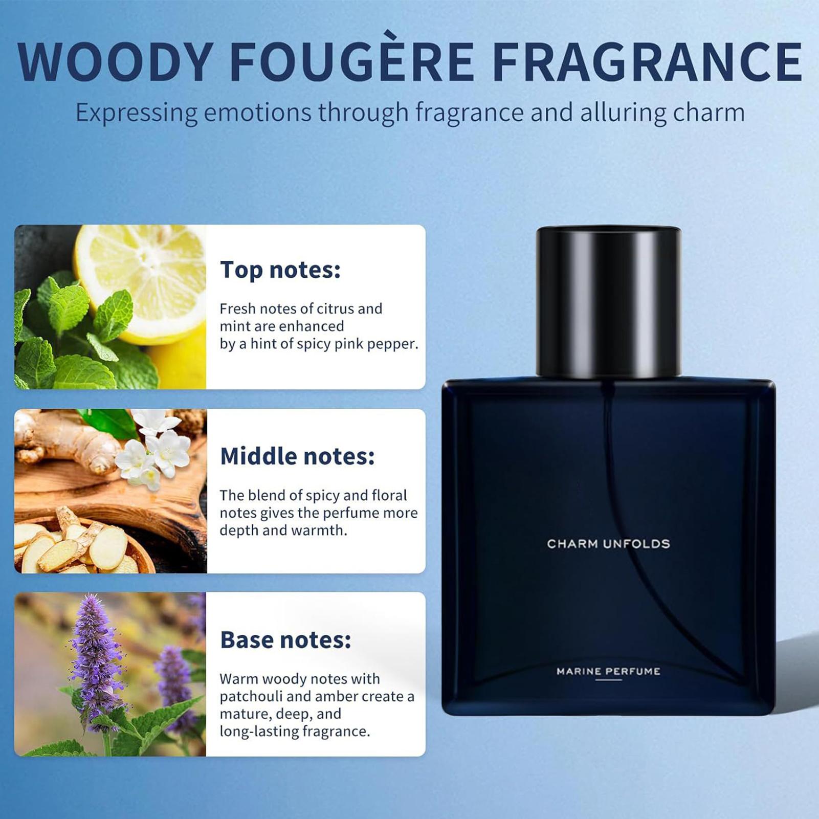 Fragancias para hombre EDT Spr - Perfume Fragrance Hair Spray reseña y precio